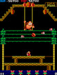 Donkey Kong 3 (bootleg on Donkey Kong Jr. hardware)